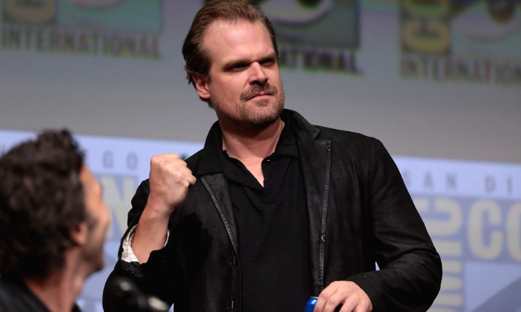 Películas y programas de TV de David Harbour 